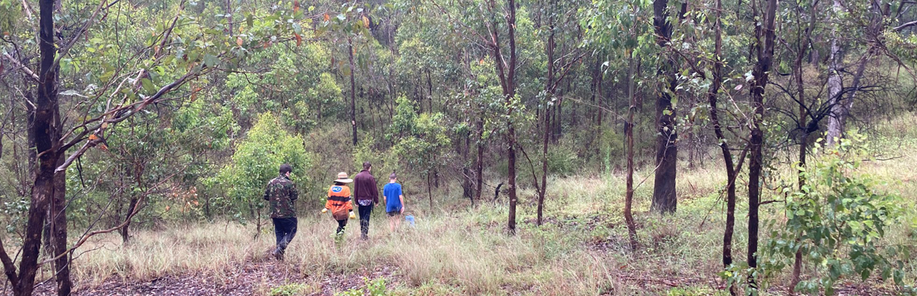 habitat restoration